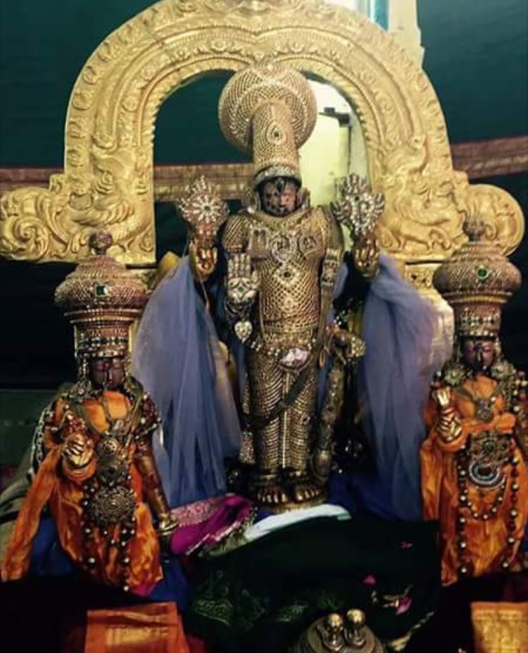 Sri Varadaraja With Ratna Angi 2017jan08.Jpg