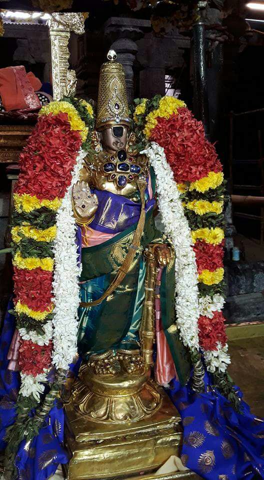 Sri Ranganatha Srirangam 2017jan17.Jpg