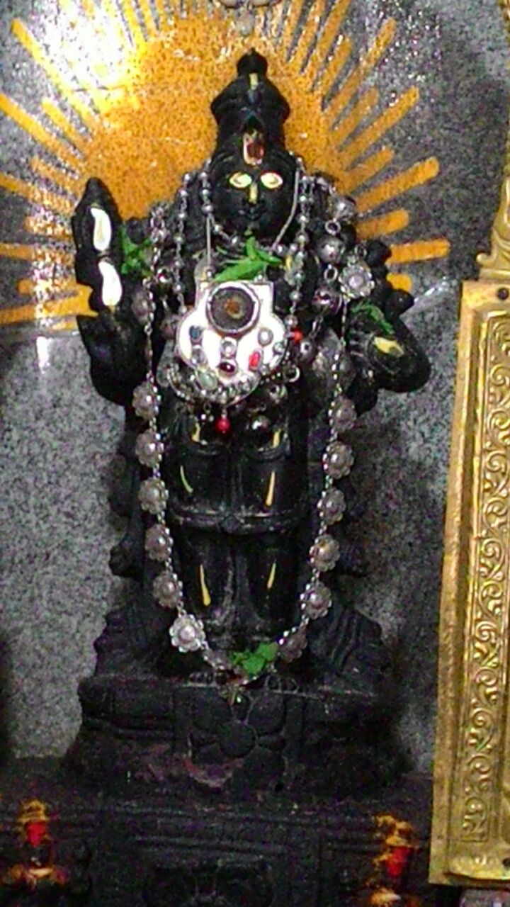 Sri Partha Sarathi Daroor 2016dec28.Jpg
