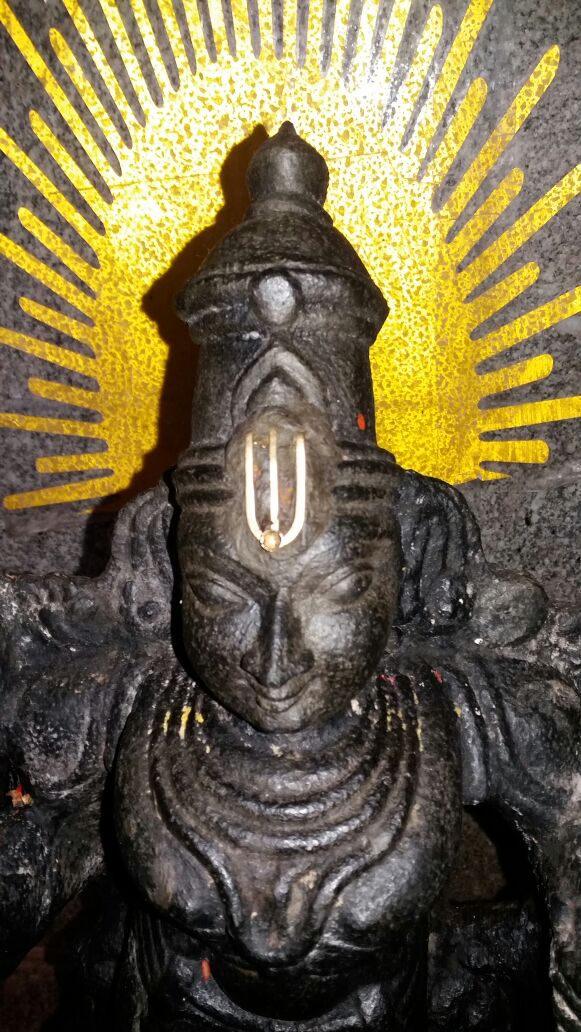 Parthasarathy Daroor 2017jan06 4.Jpg