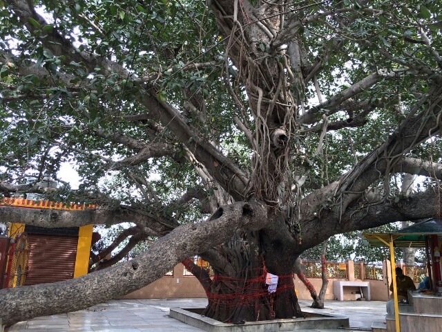 Vatavruksha Shukasthala 2016mar12.Jpg