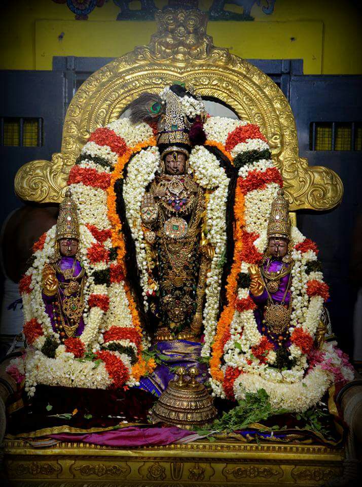 Varadaraja Swamy Kanchi 2017jan05.Jpg