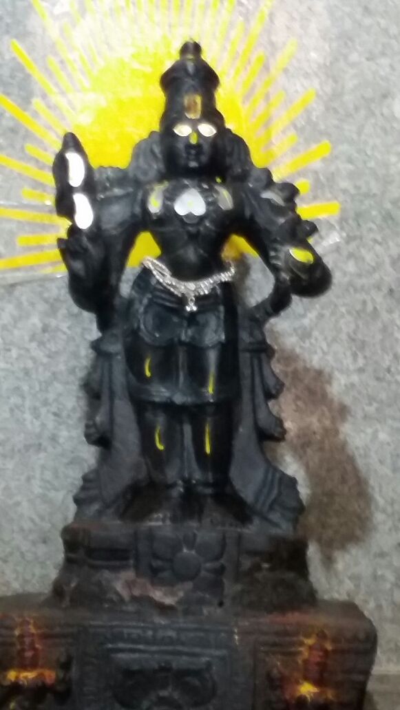 Parthasarathy Daroor 2017jan06 3.Jpg